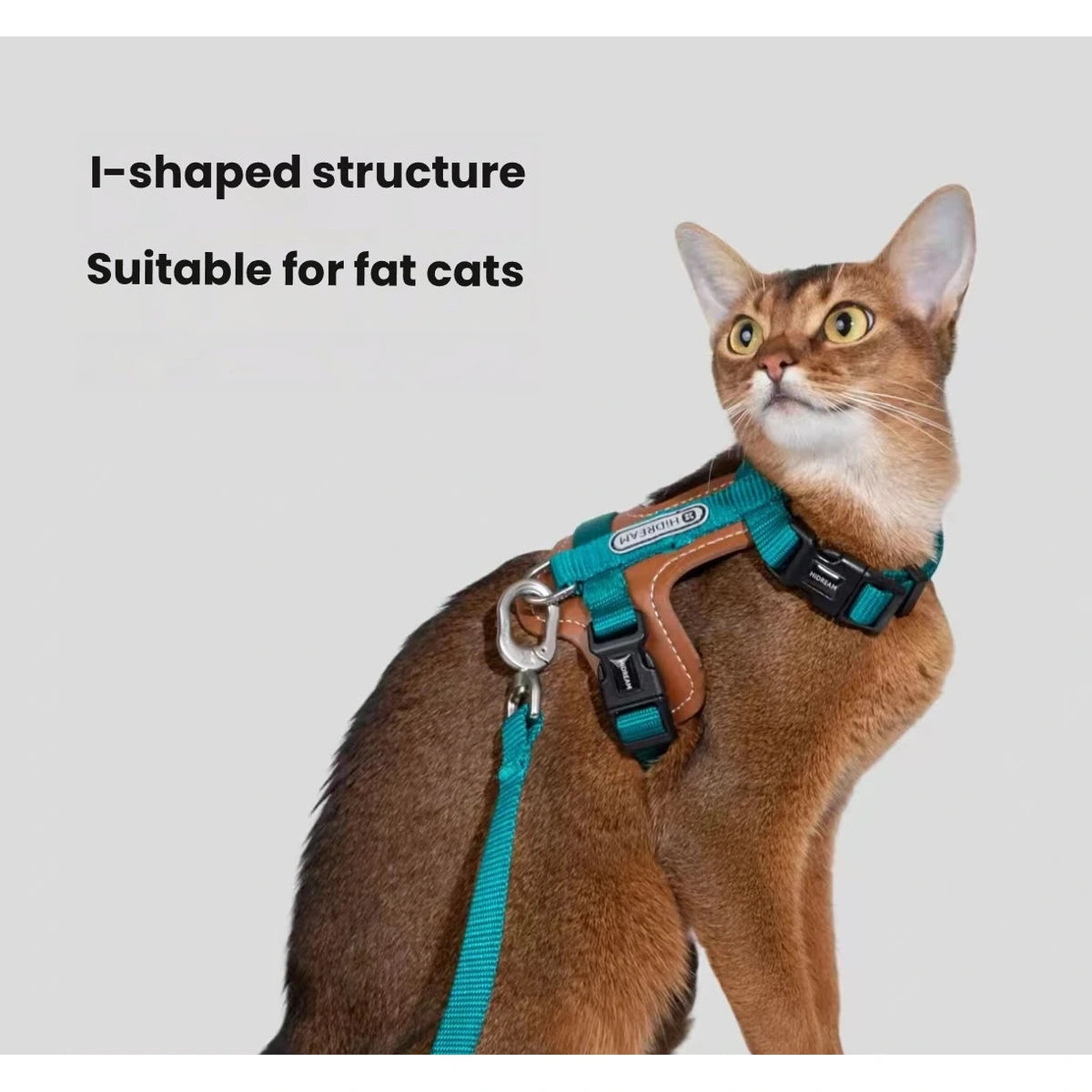Cat wearing a green and brown HiDREAM H-style harness