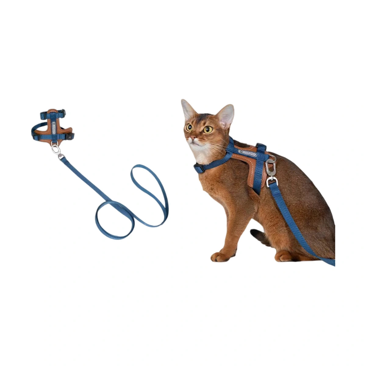 Blue HiDREAM H-style harness and round lead