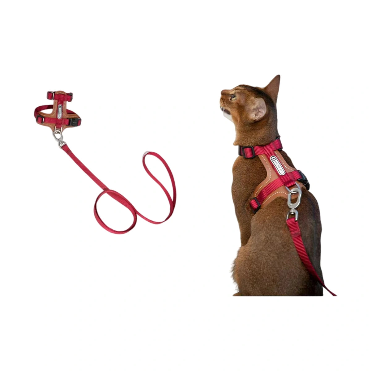 Red HiDREAM H-style harness and round lead