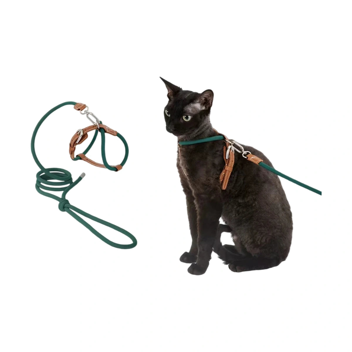Green HiDREAM X-style harness and round lead beside a cat