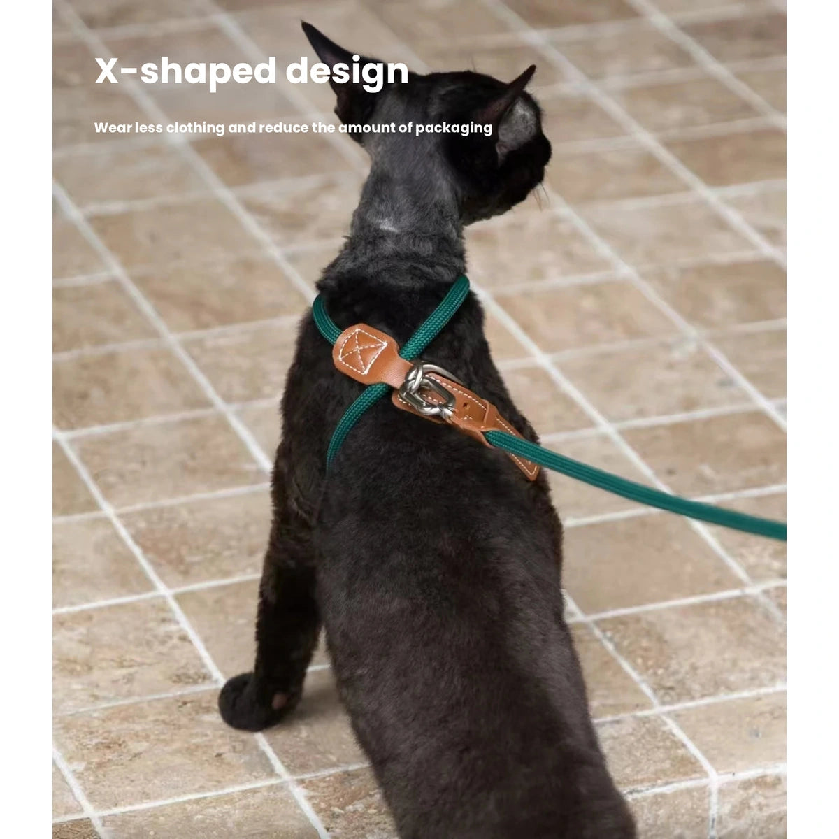 Cat outdoors wearing the HiDREAM X-style harness