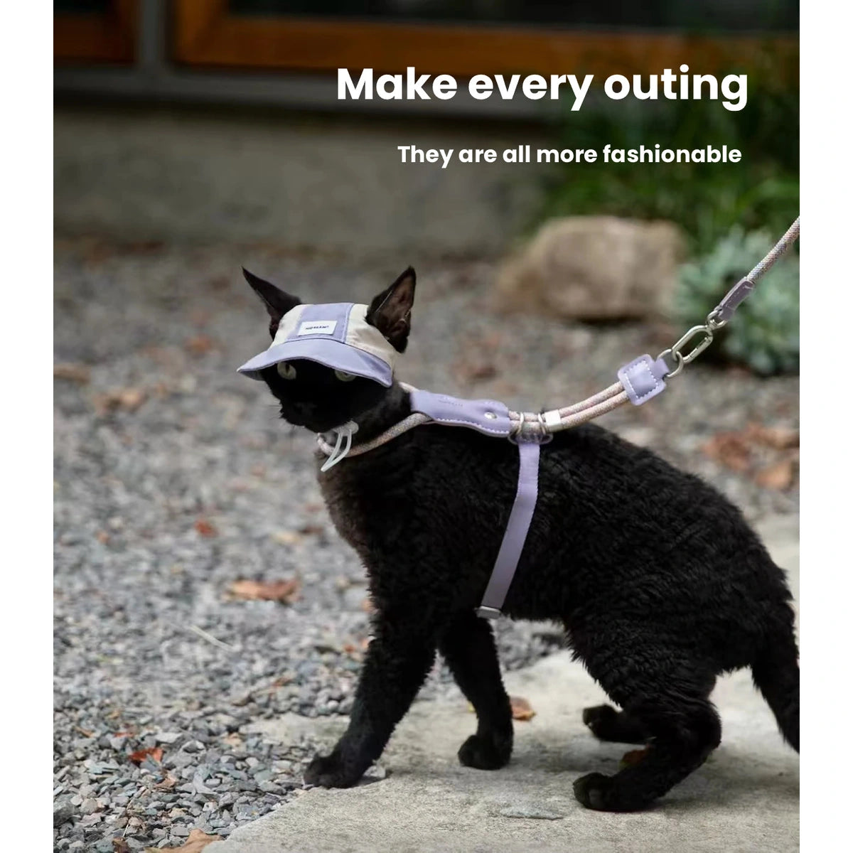 Adjustable tie on the HiDREAM cat hat