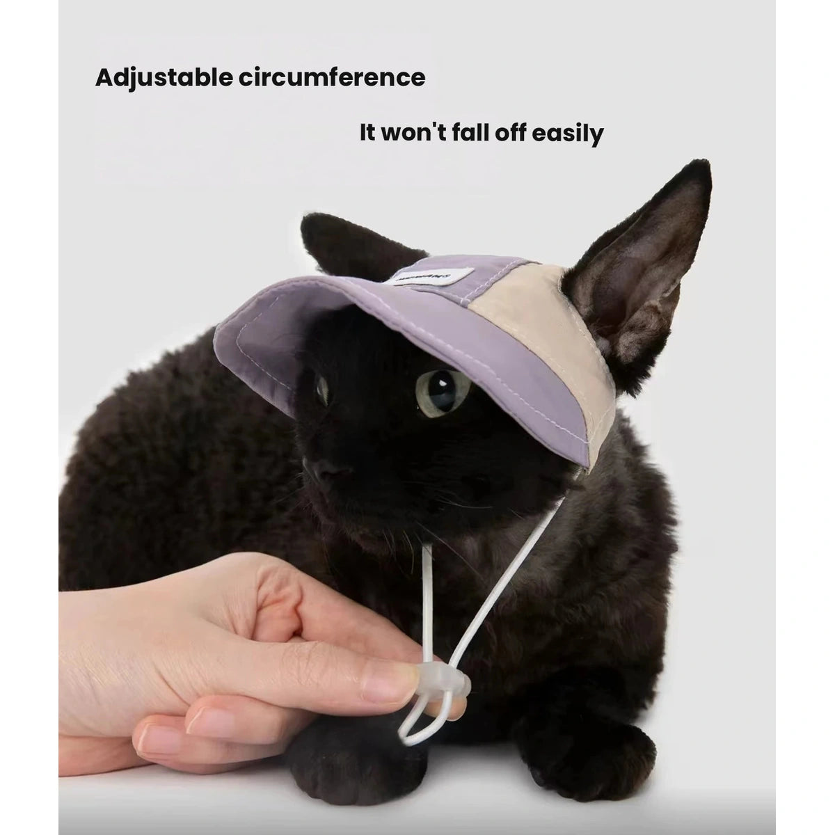 Cat in a purple HiDREAM sun hat