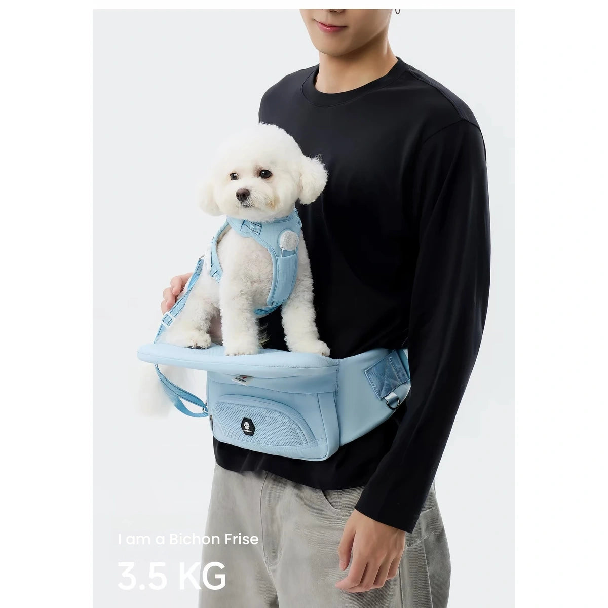 Person supporting a small dog on a CHOSINGO waist platform