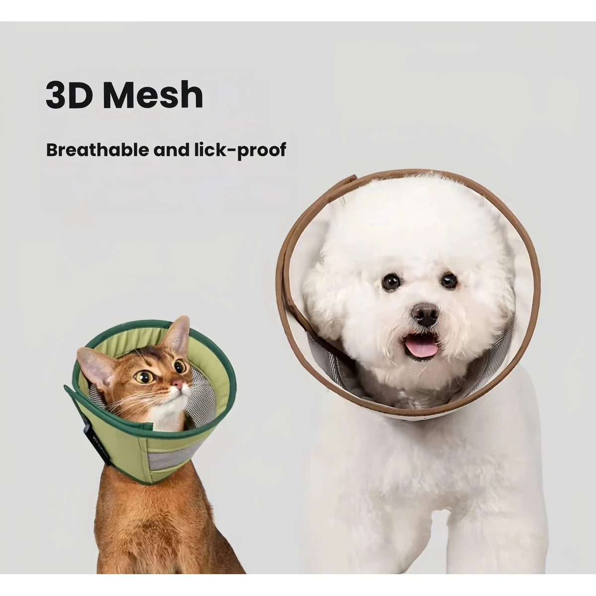 Cat and dog wearing HiDREAM mesh cones