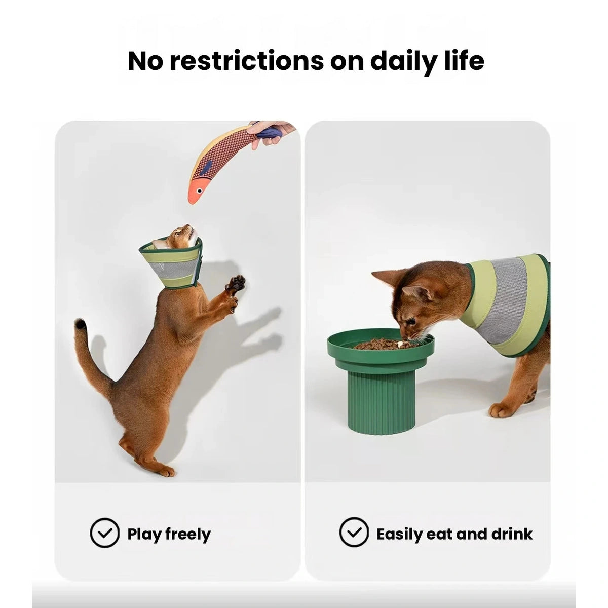 Pets moving and resting in HiDREAM recovery cones