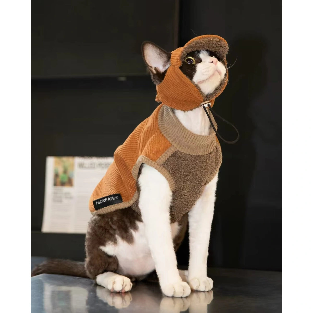 Cat styled in a HiDREAM vest with a separate hat