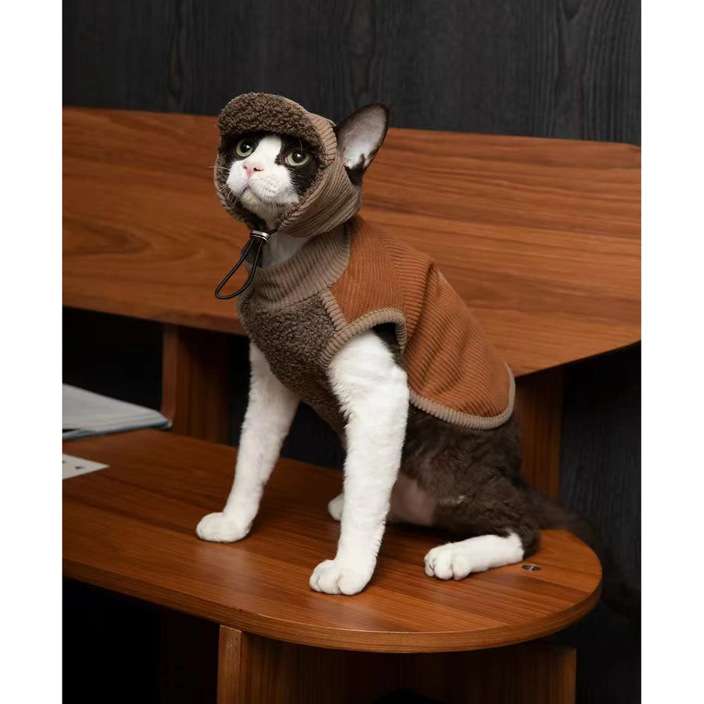 椅子に座ってブラウンHiDREAM帽子を着けた猫
