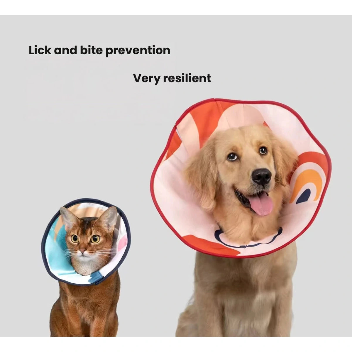 Cat and dog wearing red and yellow HiDREAM recovery cones