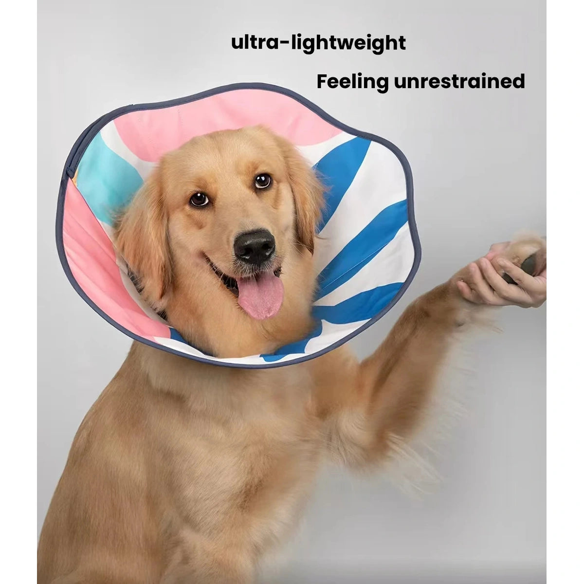Dog wearing a blue and pink HiDREAM padded cone