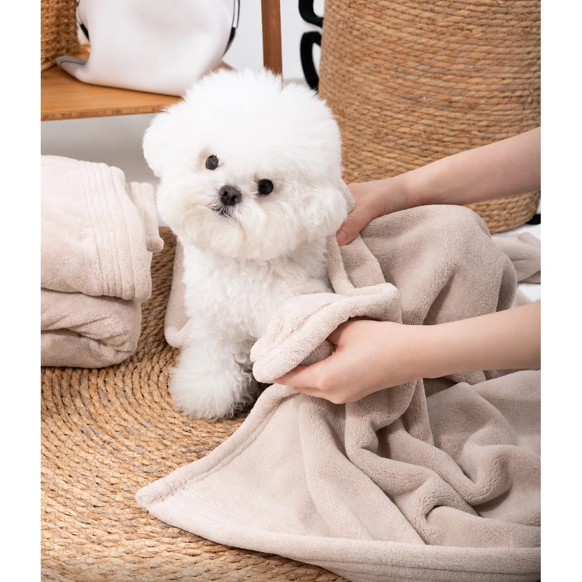 Small white dog being gently dried with a beige HiDREAM towel