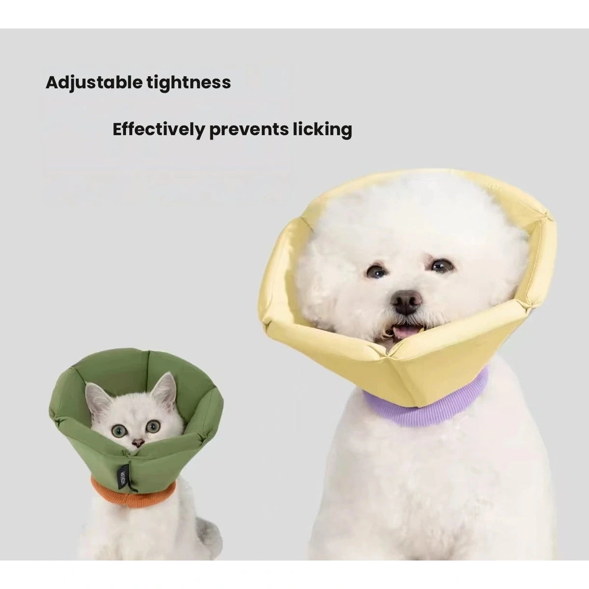 Small dogs wearing green and yellow HiDREAM recovery cones