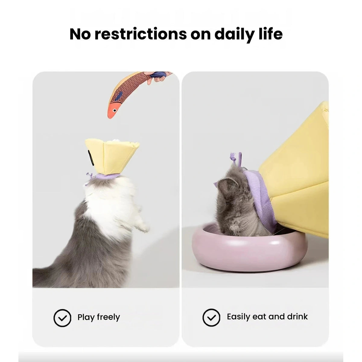 Pets eating and moving while wearing HiDREAM deep cones