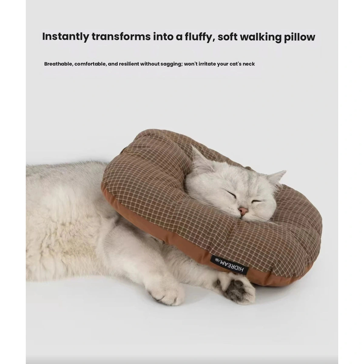 Cat resting against a brown HiDREAM Toast padded collar