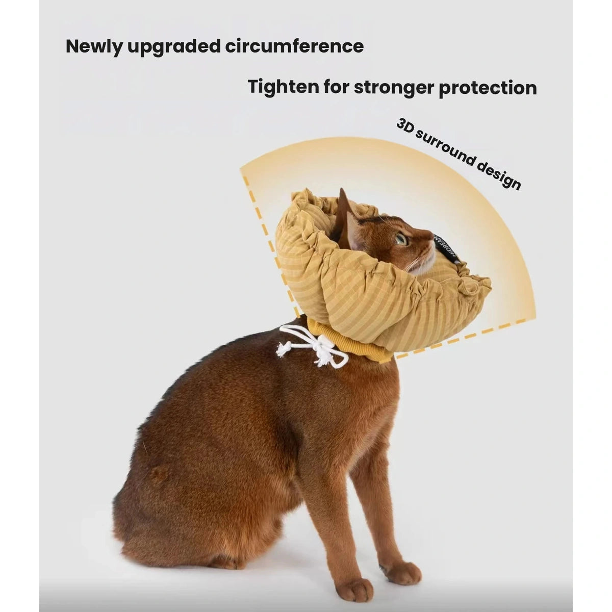 Cat in a HiDREAM collar with an illustration of the collar circumference
