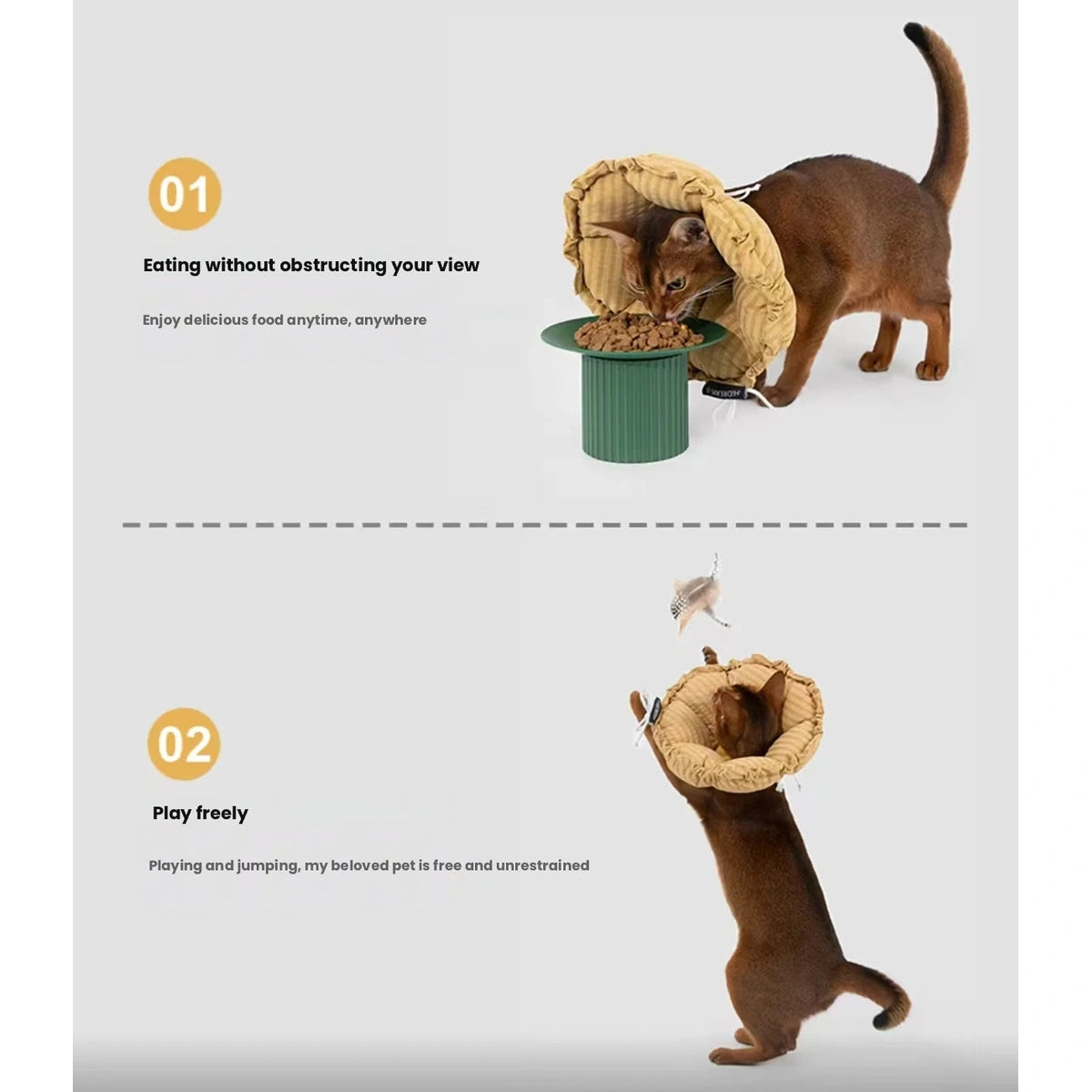 Pets eating and moving while wearing HiDREAM recovery collars