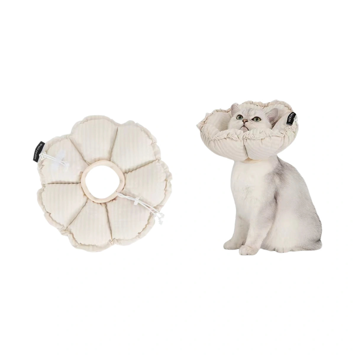 White HiDREAM padded recovery collar beside a cat wearing it
