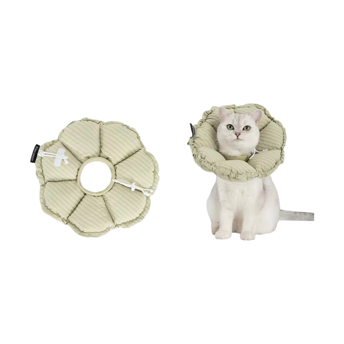 Green HiDREAM padded recovery collar beside a cat wearing it