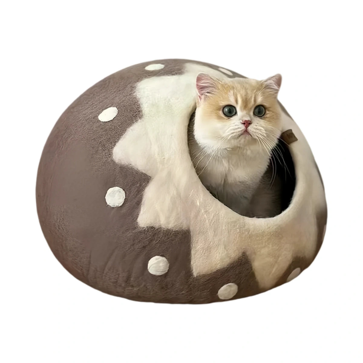 Cat in a brown Coni Life cave with a pale animal-shaped decoration