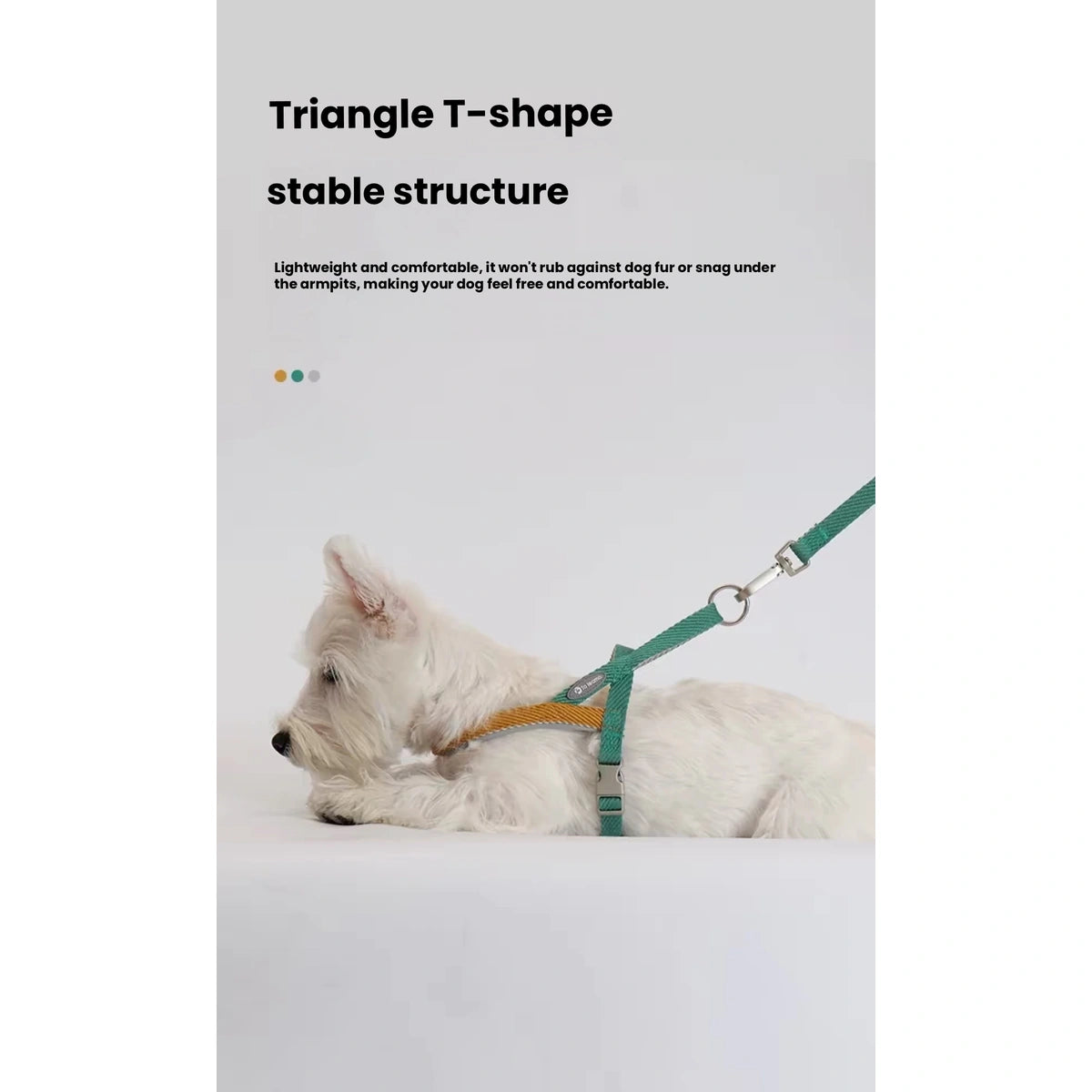 Dog wearing the Toteamo harness with the lead attached above the back