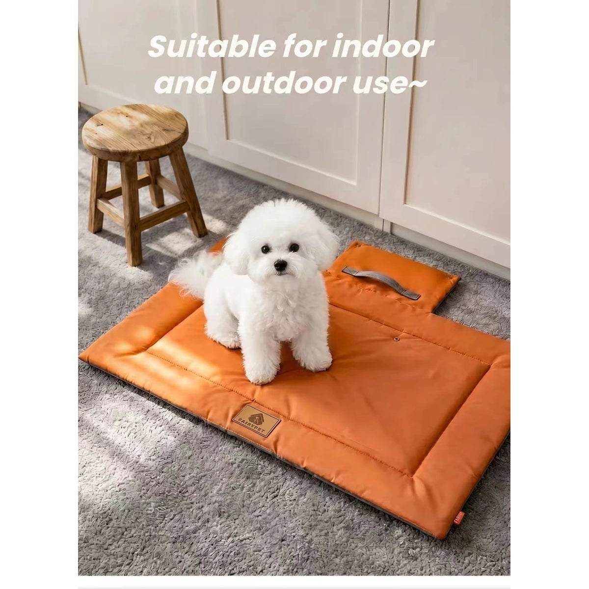 Dog resting on an orange Fairypet mat indoors