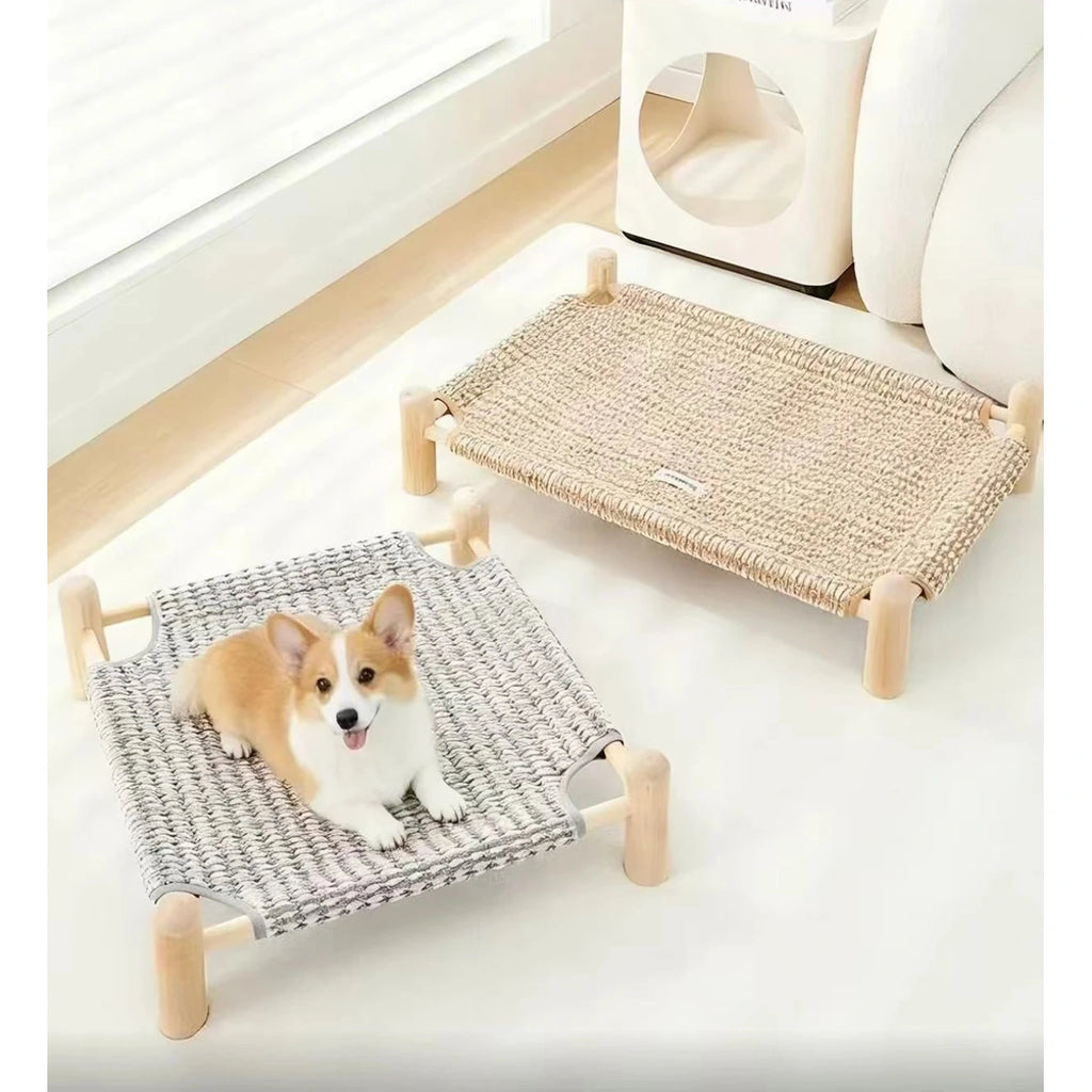 Small dog on a raised cot beside another pet cot in a living room