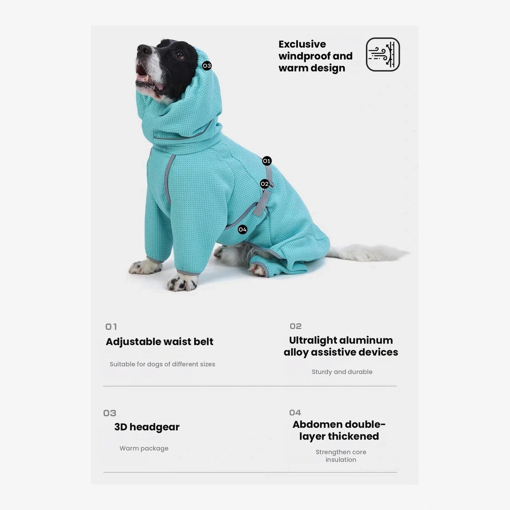 Seated dog in a teal Smile Bomb Lab drying robe with waist fastening
