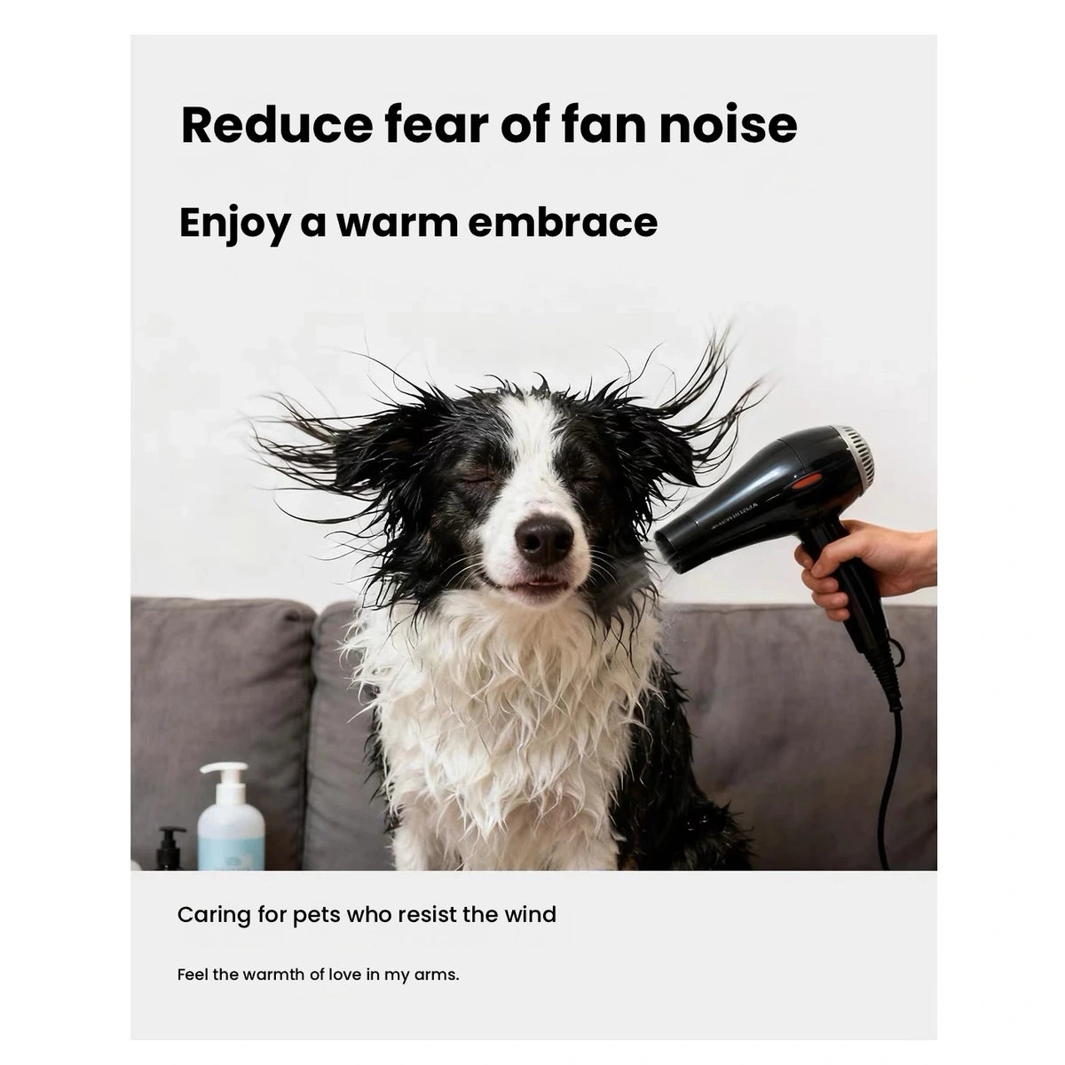 Dog after a bath beside a handheld hair dryer