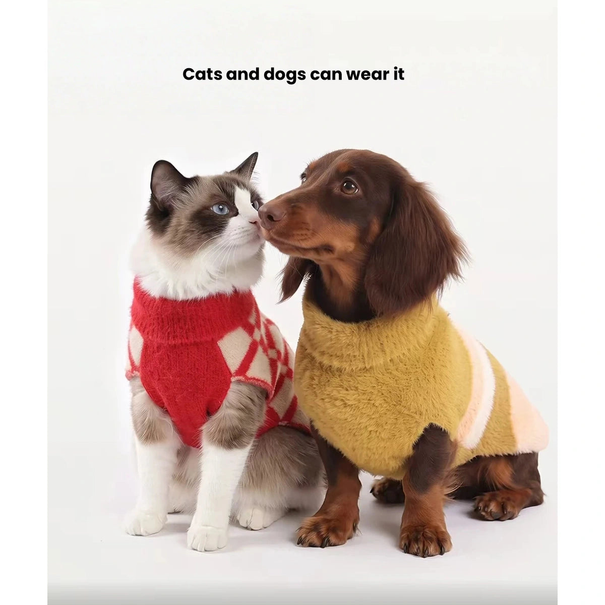 Cat and small dog wearing red checked and mustard Petstar sweater vests