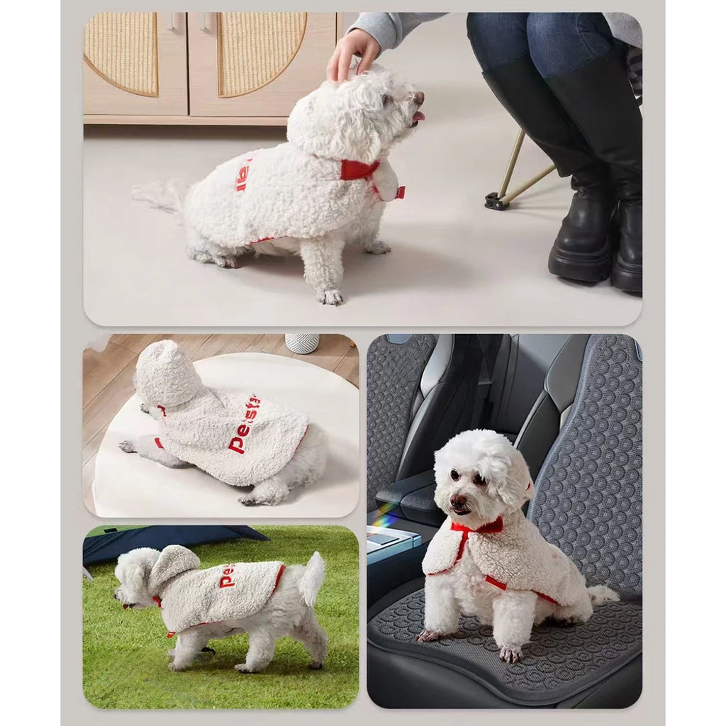 Dogs wearing the cream Petstar cape in different everyday settings