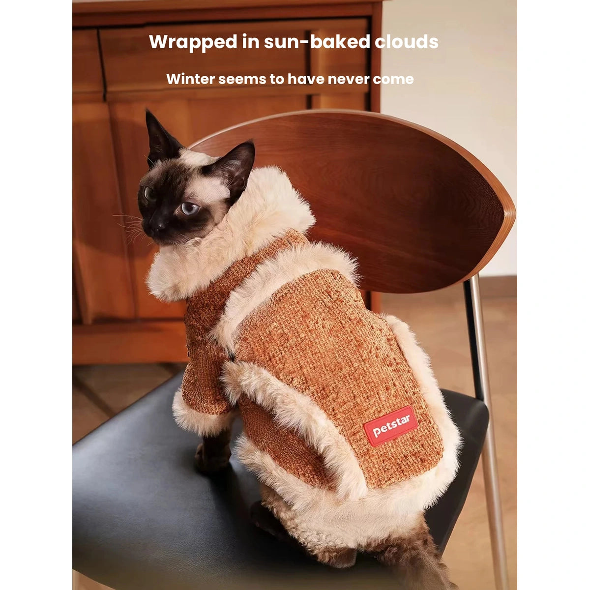 Rear view of a seated cat wearing the brown and cream Petstar jacket