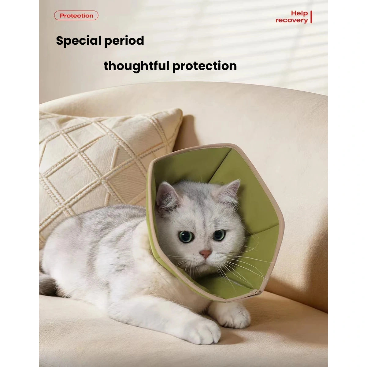 Cat resting in a green Petstar soft recovery cone