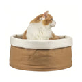 Cat resting in the inFluffy kraft paper bed with pale cushion