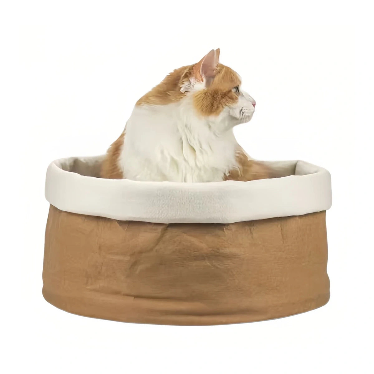 Cat resting in the inFluffy kraft paper bed with pale cushion