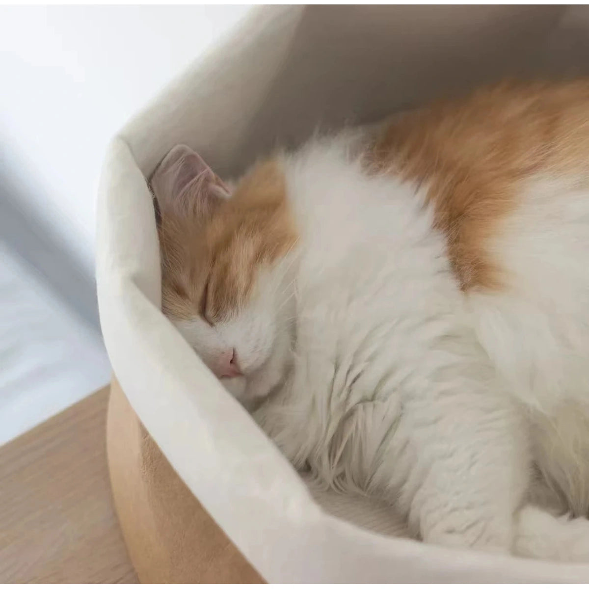Cat curled on the pale cushion in the inFluffy paper bed