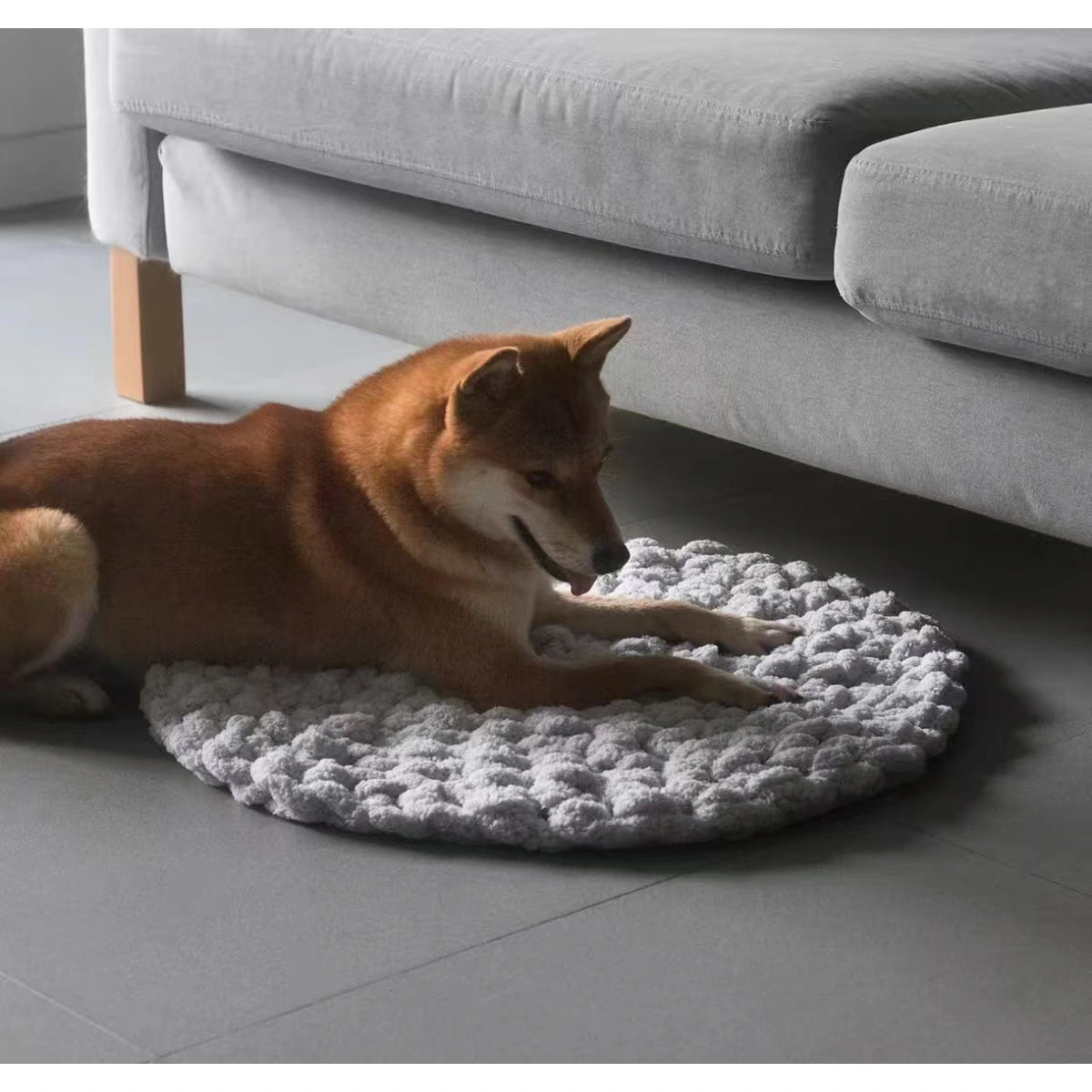 Dog lying on a grey inFluffy round pet mat