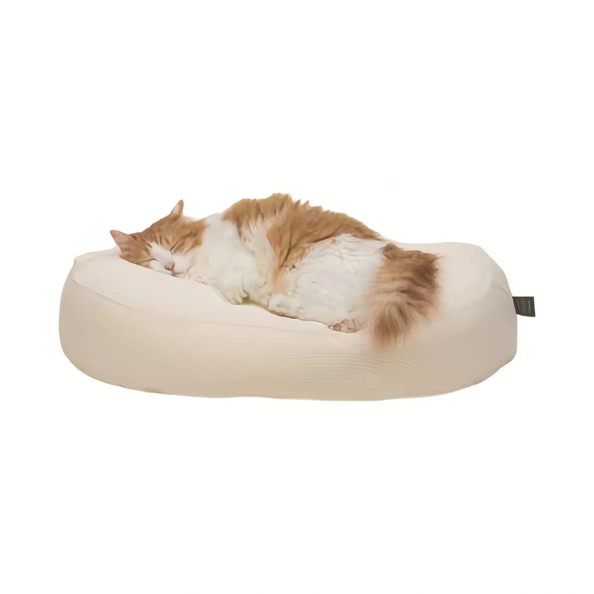 Cat resting in the pale inFluffy corduroy bean bag bed