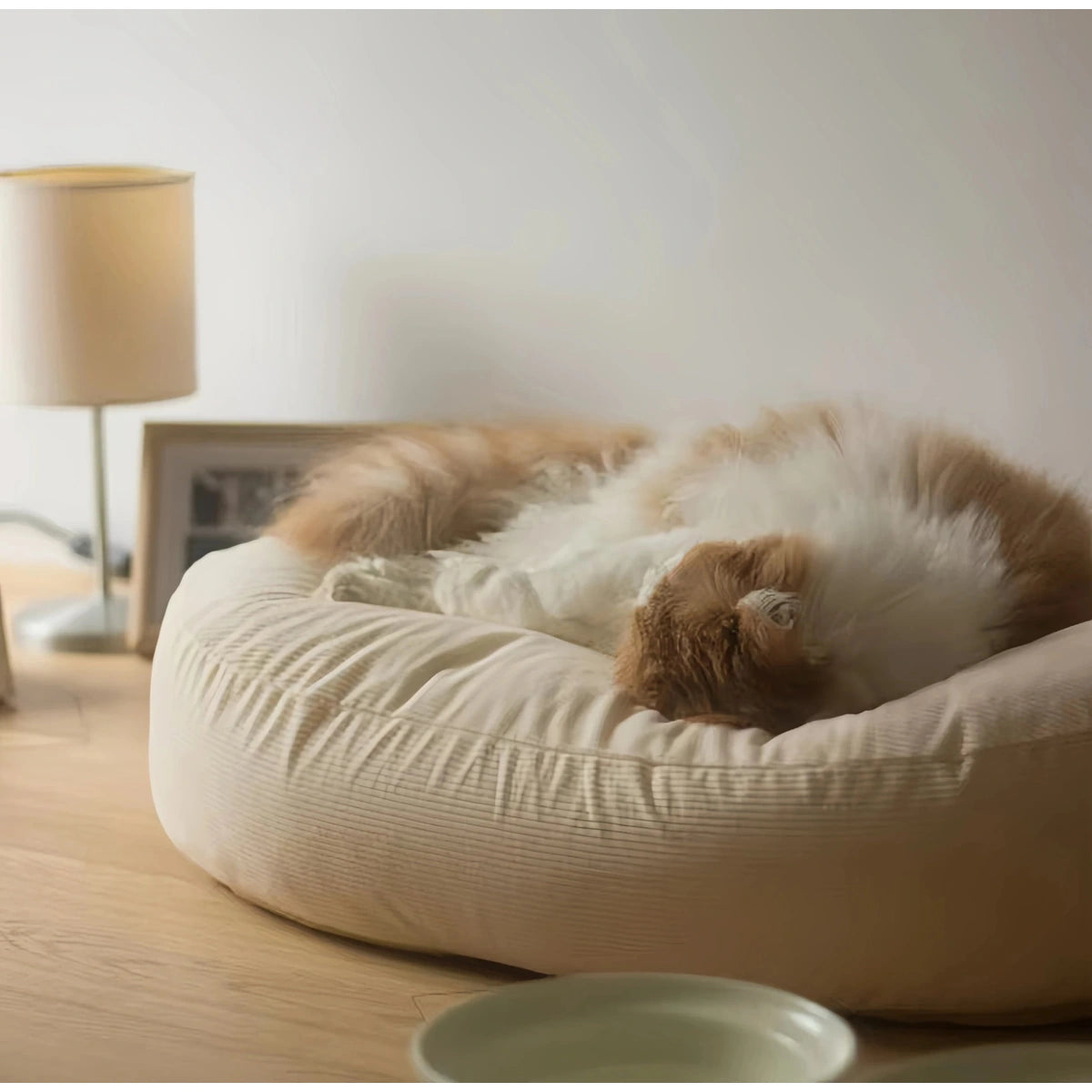 Close-up of a cat curled in the inFluffy corduroy bed