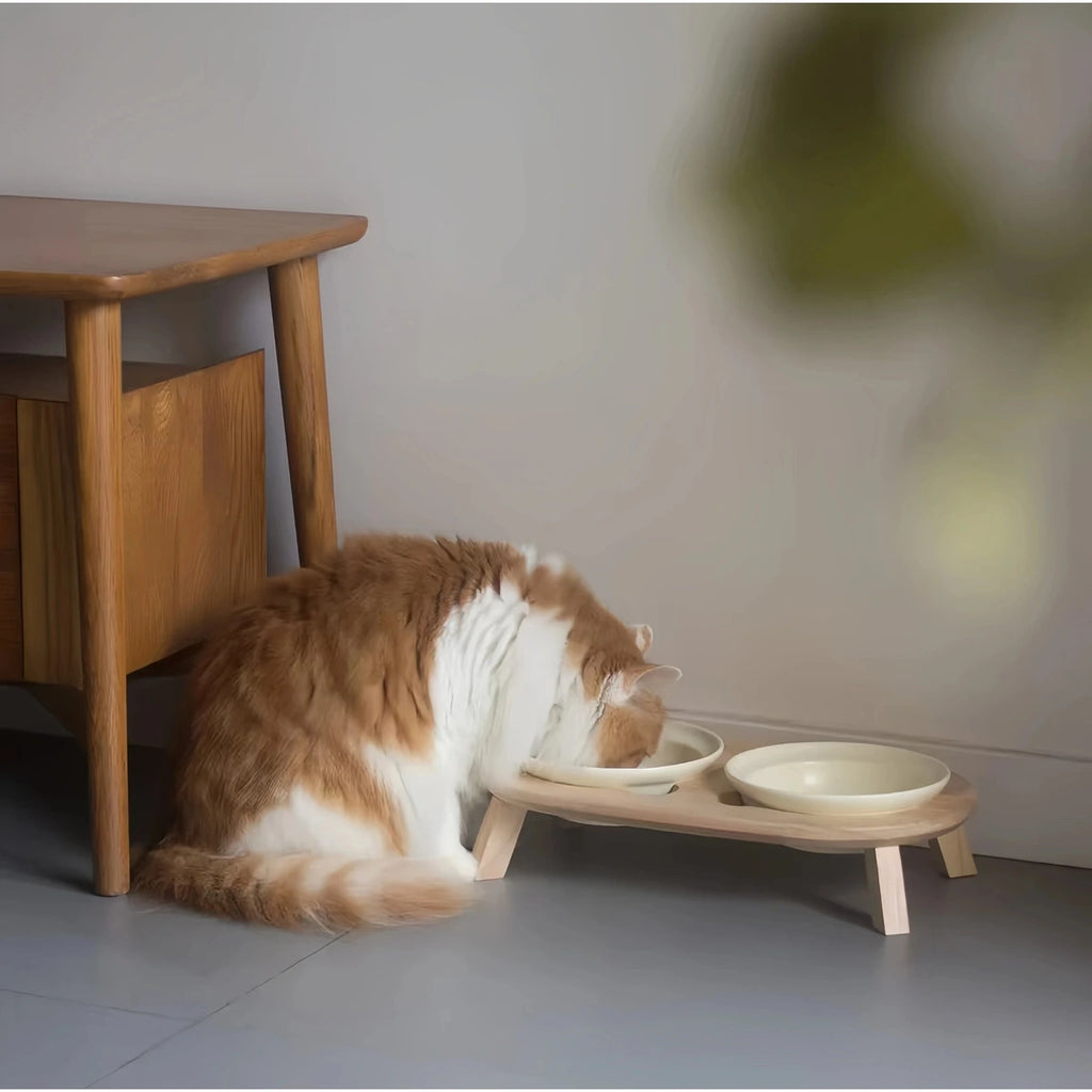 Cat eating from an inFluffy ceramic bowl in its wooden stand