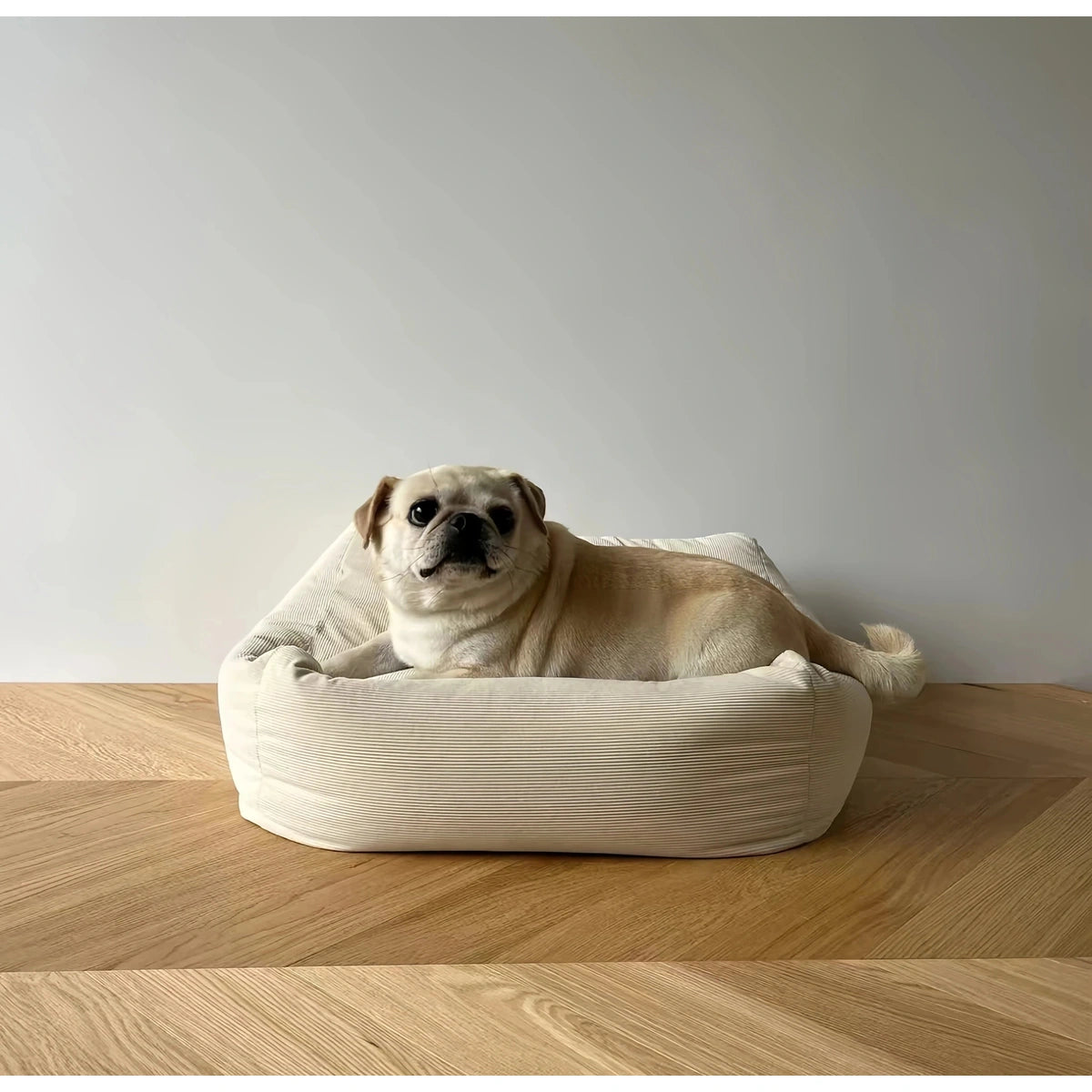 Dog lying across the inFluffy square cushion