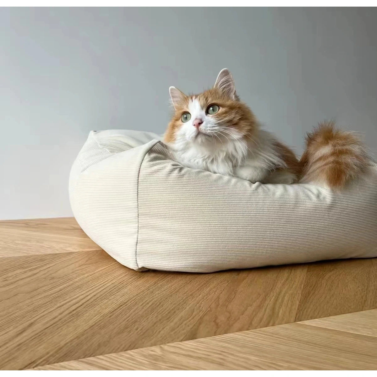 Cat sitting upright on the inFluffy square pet pouf