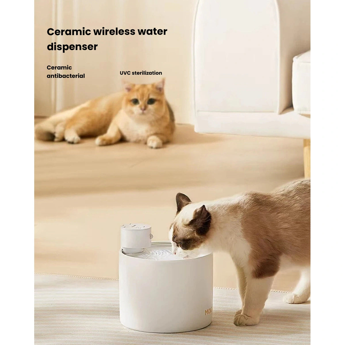 Cats drinking from the Gen 5 ceramic cordless water fountain