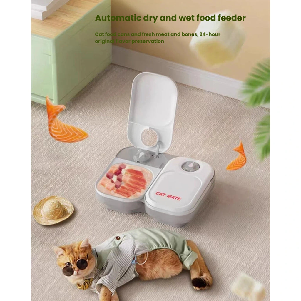 Cat beside single and double CatMate timed wet-food feeder configurations