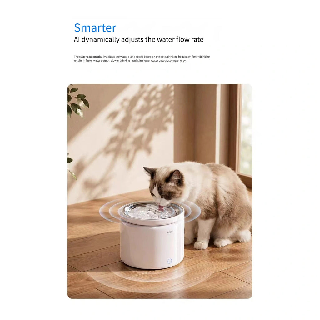 Scoci wireless pet water fountain positioned beside a window