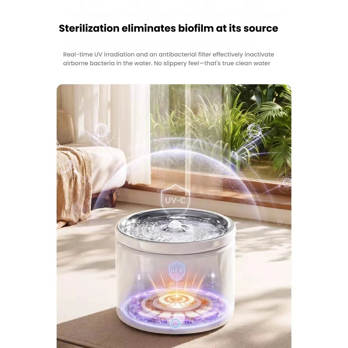 Cat drinking from the Scoci wireless automatic water fountain