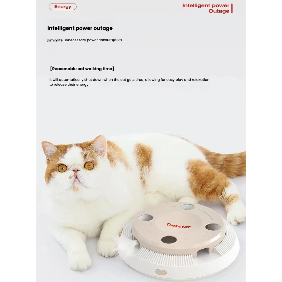 Cat resting beside the beige Petstar automatic feather toy