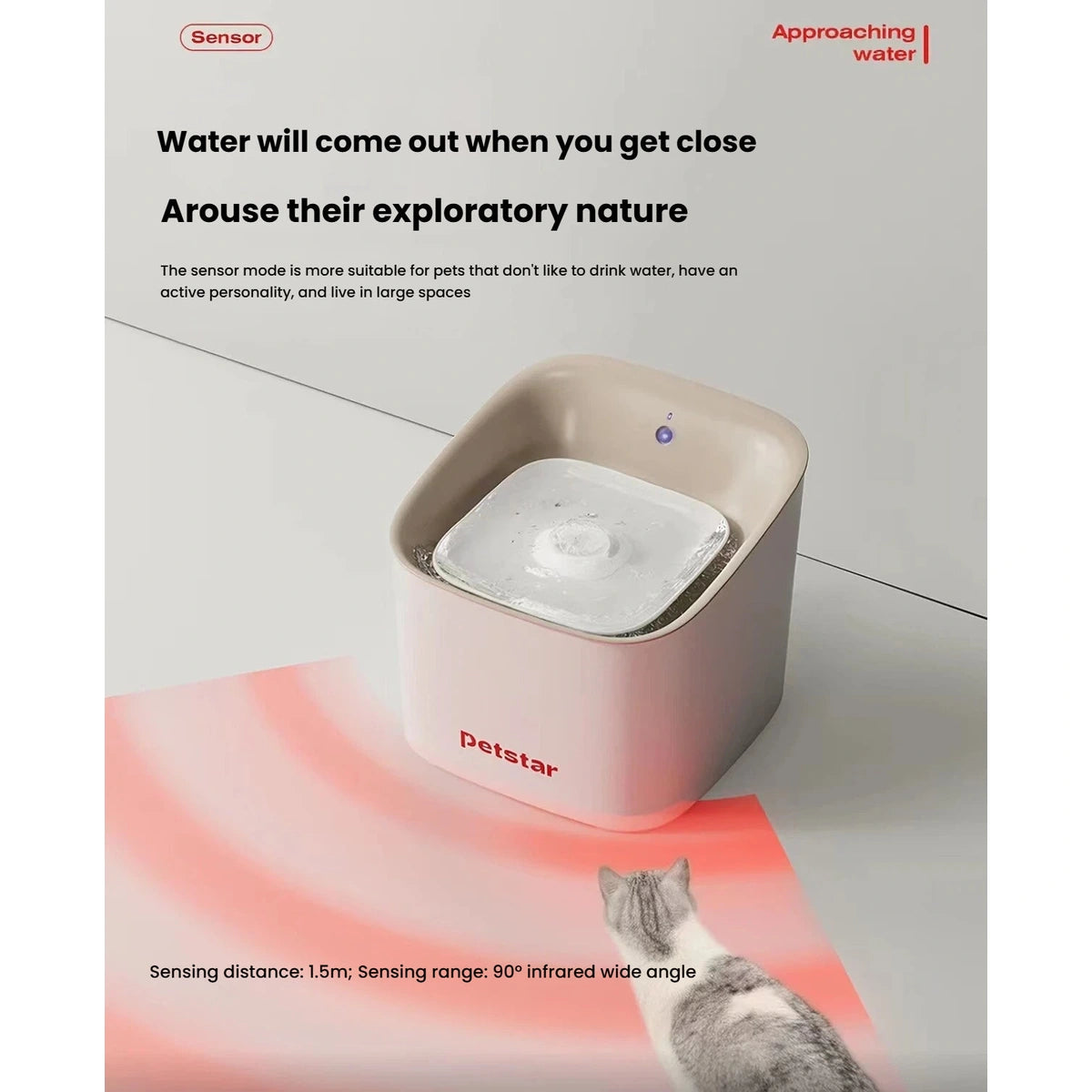 Cat approaching the motion sensor on the Petstar cordless fountain