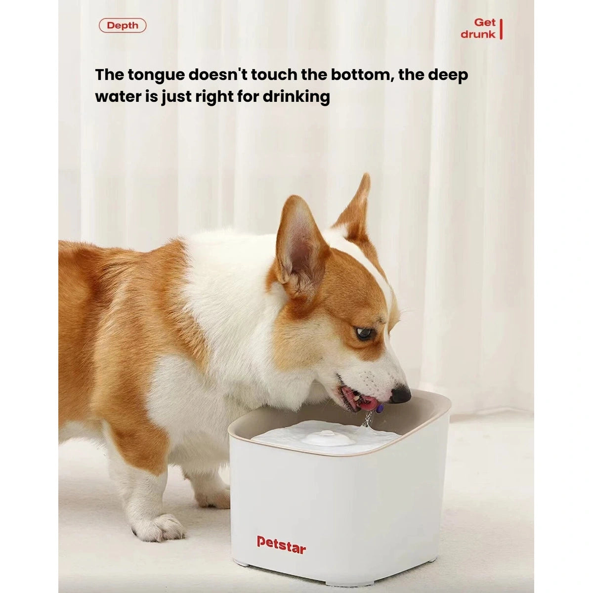 Corgi drinking from the recessed tray of a Petstar water fountain