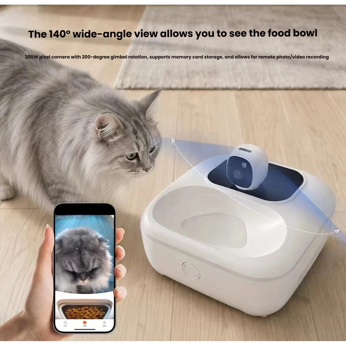 猫の隣のスマートフォンに映る給餌カメラ画像