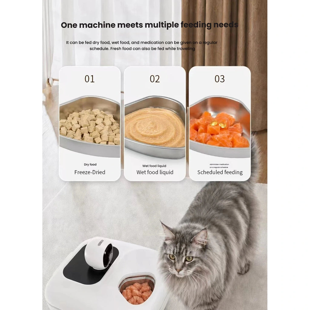 Naipet feeder display showing examples of separate cat-food portions